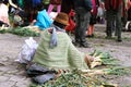 Ecuadorian ethnic woman with indigenous clothes selling vegetables in a rural Saturday market in Zumbahua village, Ecuador.