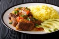 Ecuadorian seco de chivo stewed goat meat with a side dish of ye Royalty Free Stock Photo