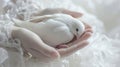 A ed bird is gently cradled in the hands of a compionate angel receiving healing and love