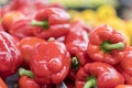 ed pepper on street market shelf. Red bell pepper pattern. Background of fresh sweet heap of red pepper paprica closeup vegetable Royalty Free Stock Photo