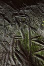 Edakkal cave-Petroglyph