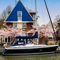 EDAM, NETHERLANDS - APRIL 14, 2018: Traditional dutch house with yacht and blooming spring tree on the canal waterfront. Edam is a