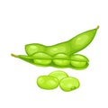 edamame beans isolated on white background. Vector eps 10. Royalty Free Stock Photo