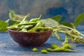 Edamame, fresh green soybeans in pod Royalty Free Stock Photo