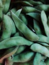 Edamame Nuts with natural color and fine hair, healthy and nutritious