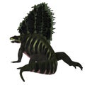 Edaphosaurus Dinosaur Tail Royalty Free Stock Photo