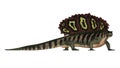 Edaphosaurus prehistoric animal walking - 3D render Royalty Free Stock Photo
