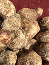 Eddoe or eddo, taro root, Colocasia antiquorum