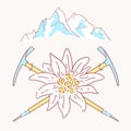 Edelweiss alpenstock mountains flower symbol alpinism alps germany logo