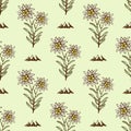Edelweiss flower alpine icon seamless background tile pattern