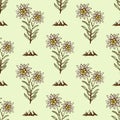 Edelweiss flower alpine icon seamless background tile pattern Royalty Free Stock Photo