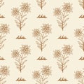 Edelweiss flower alpine icon seamless background tile pattern Royalty Free Stock Photo