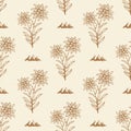 Edelweiss flower alpine icon seamless background tile pattern