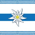 Edelweiss flower with blue and white pattern background