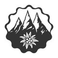 Edelweiss flower icon vector alpine icon flat web sign symbol logo label