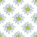 Edelweiss flower icon vector alpine logo pattern, seamless, tile, background