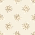 Edelweiss flower icon vector alpine logo pattern, seamless, tile, background Royalty Free Stock Photo