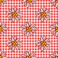 Edelweiss flower icon vector alpine logo pattern, seamless, tile, background Royalty Free Stock Photo