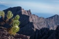 An Edelweiss flower or known as Eternal Flower. Raung is the most challenging of all JavaÃ¢â¬â¢s mountain trails, also is one of the Royalty Free Stock Photo