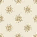Edelweiss flower seamless pattern background texture Royalty Free Stock Photo