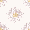 Edelweiss flower seamless pattern, tile symbol alpinism alps germany logo Royalty Free Stock Photo