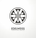 Edelweiss flower rounded logo concept Royalty Free Stock Photo