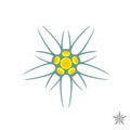 Edelweiss flower simple logo Royalty Free Stock Photo