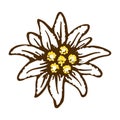 Edelweiss flower symbol alpinism alps germany logo