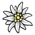 Edelweiss flower symbol alpinism alps germany logo