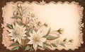 Edelweiss flowers, decorative background with copy space illustrated vintage style. Generative AI