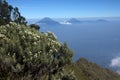 Edelweiss flowers view from the mount merbabu hiking trail Royalty Free Stock Photo