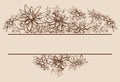 Edelweiss hand drawn borders Royalty Free Stock Photo