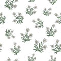 Edelweiss seamless pattern