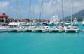 The Eden Island Marina for luxury yachts in Mahe, Seychelles Royalty Free Stock Photo