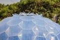 Eden Project, Bodelva, Cornwall, England. Royalty Free Stock Photo