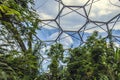 Eden Project, Bodelva, Cornwall, England.