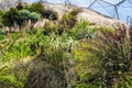 Eden Project, Bodelva, Cornwall, England.