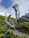 Eden project butterfly Royalty Free Stock Photo