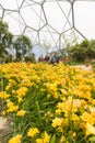 Eden Project Cornwall Royalty Free Stock Photo