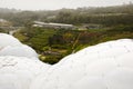 Eden Project - Cornwall - England Royalty Free Stock Photo