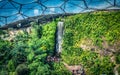 Steamy jungles and waterfalls in the Eden Project, Corwnall