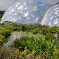 Eden project Royalty Free Stock Photo