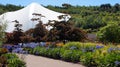 Eden Project garden in St. Austell Cornwall Royalty Free Stock Photo