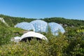 The Eden Project, Cornwall, England Royalty Free Stock Photo