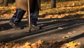 Ederly man with stick walking in autumn park. Royalty Free Stock Photo