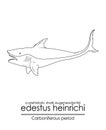 Edestus Heinrichi, a prehistoric shark Royalty Free Stock Photo