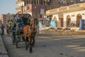 Edfu, Egypt: Horse Cabs Taking Visitors to the Temple of Edfu