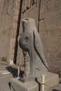 Edfu, Egypt: The temple of Edfu, Dedicated to Horus and Hathor of Dendera