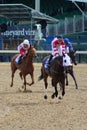 LOUISVILLE, KY - MAY 1, 2019: Smile Awhile, Asticou Trail, and Amazing Audrey after race 8 at Churchill Downs