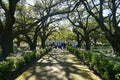 Edgard, Louisiana, U.S.A - February 2, 2020 - The old oak trees by the white mansion of Whitney Plantation Royalty Free Stock Photo